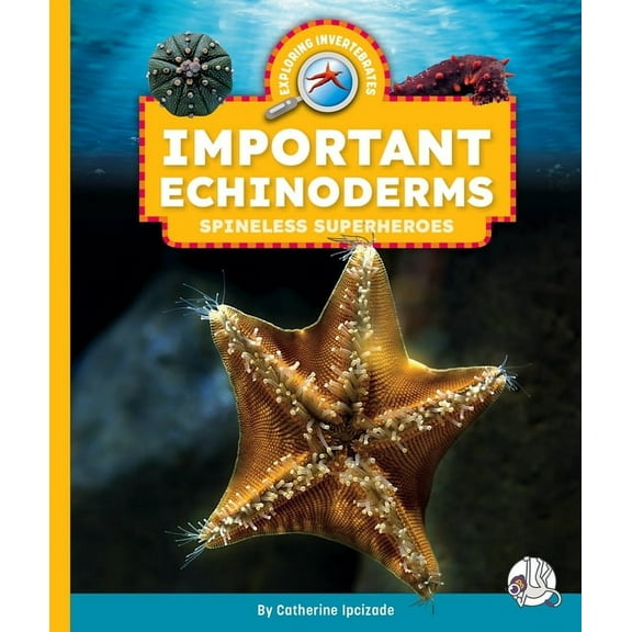 Exploring Invertebrates Important Echinoderms: Spineless Superheroes, (Hardcover)