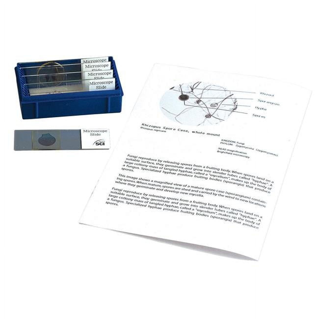 ThinkandPlay Exploring Life II Neo Microscope Slide Collection Set, 5 ...