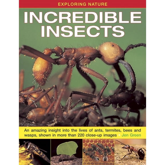 Exploring Nature: Incredible Insects : An Amazing Insight Into the Lives of Ants, Termites, Bees and Wasps, Shown in More Than 220 Close-Up Images (Hardcover)
