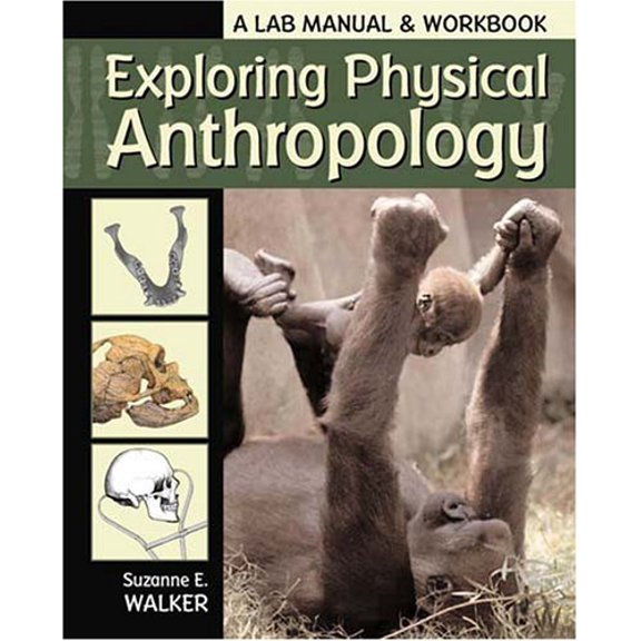 Pre-Owned Exploring Physical Anthropology (A Lab Manual & Workbook)