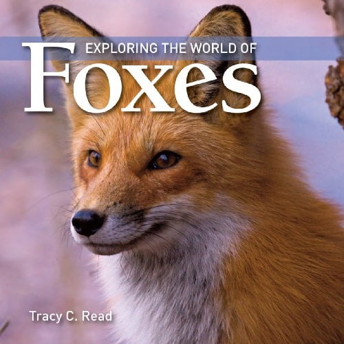 Pre-Owned Exploring the World of Foxes (Paperback) 1554076161 9781554076161