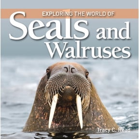 Pre-Owned Exploring the World of Seals and Walruses (Hardcover) by Tracy C Read