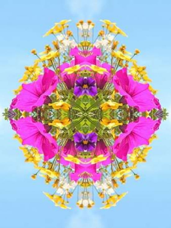 Explosion of Colour Canvas Art - Alyson Fennell (18 x 24)