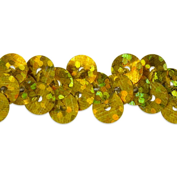 Expo Int'l 10 yards of 1 Row 3/8" Starlight Hologram Stretch Sequin Trim