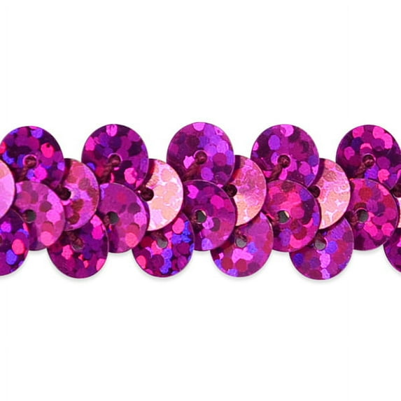 Expo Int'l 10 yards of 1 Row 3/8" Starlight Hologram Stretch Sequin Trim