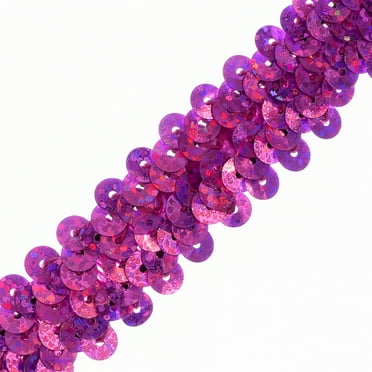Expo Int'l 10 yards of 2 Row 7/8" Starlight Hologram Stretch Sequin Trim