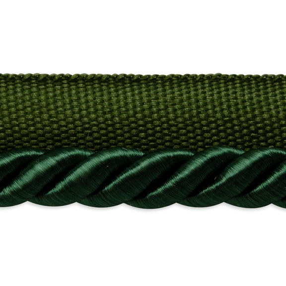 Expo Int'l 10 yards of Hilda 3/8" Twisted Lip Cord Trim