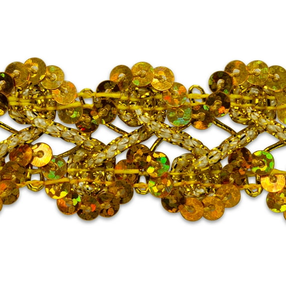 Expo Int'l 100 yards of Sharon Scallop Edge Sequin Braid Trim
