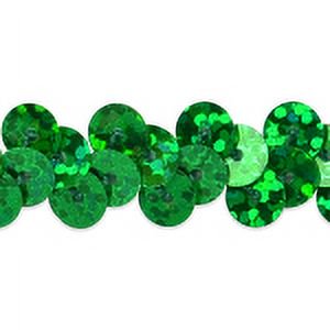 Expo Int'l 20 yards of 1 Row 3/8" Starlight Hologram Stretch Sequin Trim by the yard