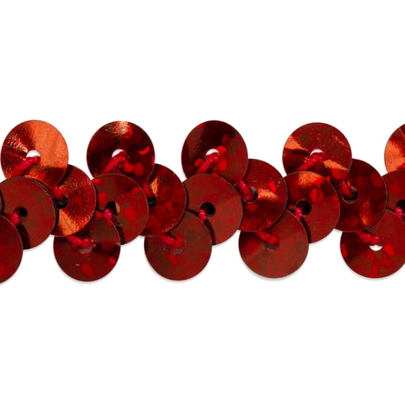 Expo Int'l 20 yards of 1 Row 3/8" Starlight Hologram Stretch Sequin Trim