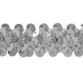 thumbnail image 1 of Expo Int'l 20 yards of 2 Row 7/8" Metallic Stretch Sequin Trim, 1 of 1