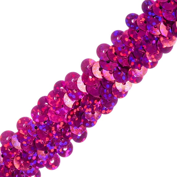 Expo Int'l 20 yards of 2 Row 7/8" Starlight Hologram Stretch Sequin Trim