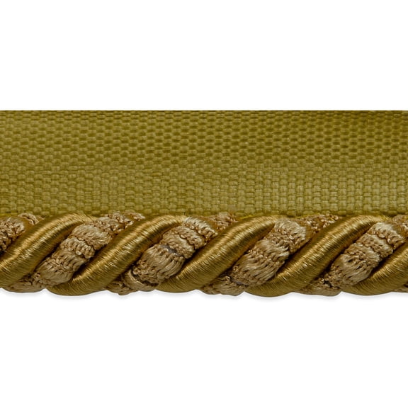 Expo Int'l 20 yards of Helena 3/8" Decorative Lip Cord Trim