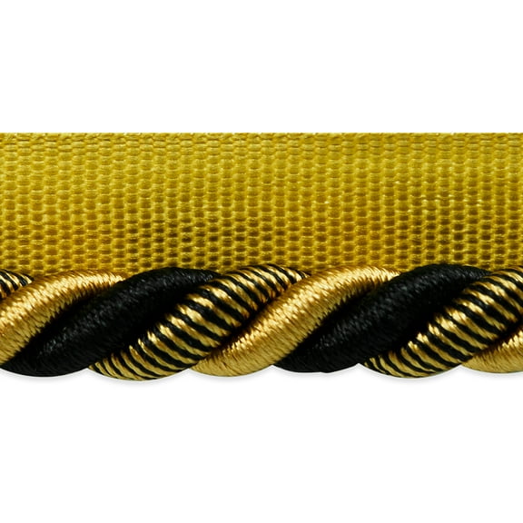 Expo Int'l 20 yards of Leona 3/8" Twisted Lip Cord Trim