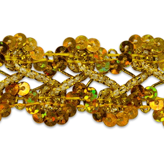 Expo Int'l 20 yards of Sharon Scallop Edge Sequin Braid Trim