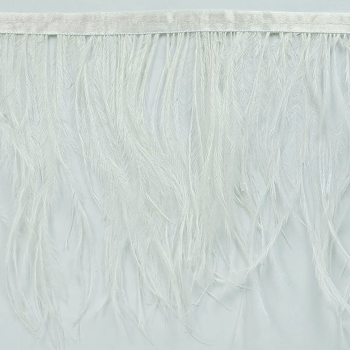 Ostrich Feather Trim Fringe / Sold by the Yard - Assorted Colors