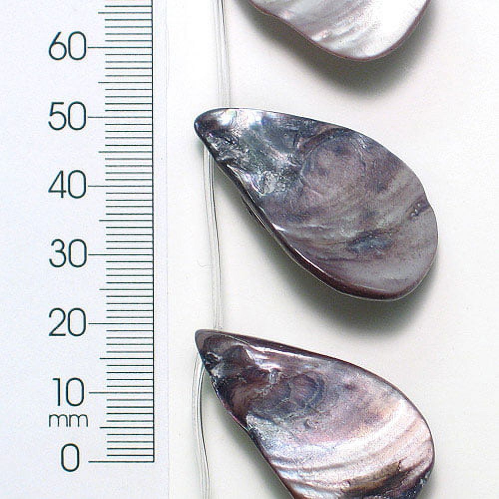 Drop Shape Shellin Sea Shell Hand Crafted Fan/Drop Shape Beads/Pendants Gray - Walmart.com