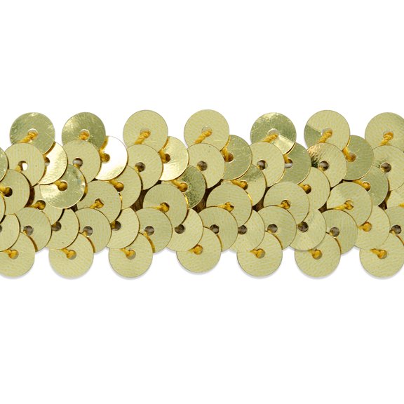 Expo Int'l 20 yards of 2 Row 7/8" Metallic Stretch Sequin Trim