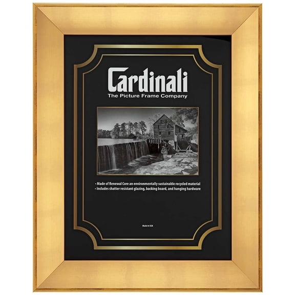 Expositions Picture Frame, Gold 9"x12" Complete Hanging Picture Frame For Paintings, Photos & Prints - Break-Resistant Acrylic Glazing, Cardboard Backing, Eco-Friendly Renewal Core, Made in USA
