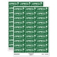 thumbnail image 1 of Express Mail Service Expedited Running Person Sticker Set - Dark Green - Gloss Finish - 1.75" Medium, 1 of 7