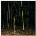 thumbnail image 1 of Express Rising - Fixed Rope Ii - Music & Performance - Vinyl, 1 of 1