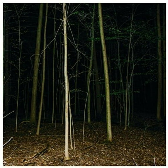 Express Rising - Fixed Rope Ii - Music & Performance - Vinyl