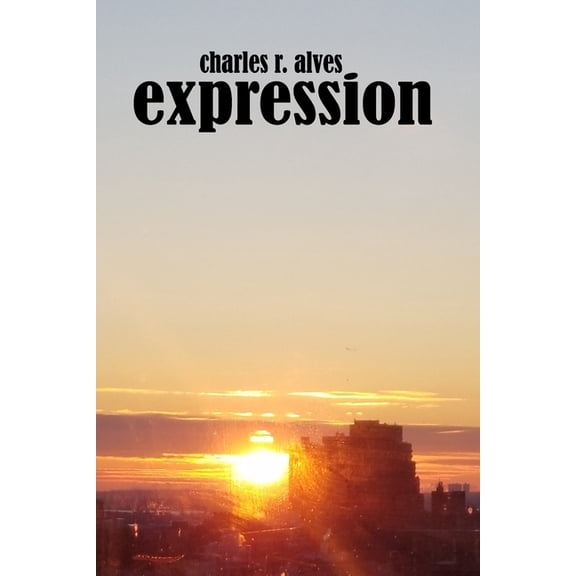 Expression : A search for who I am as a writer (Paperback)