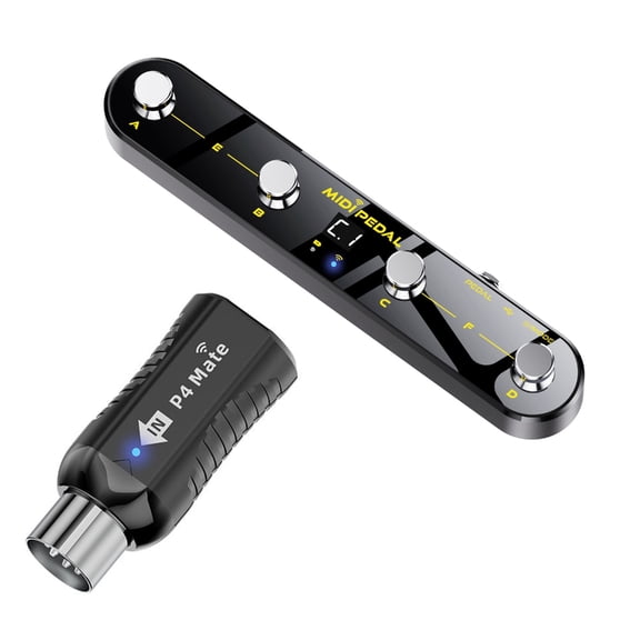 Expression Pedal Receiver Systems Flexible Mapping for Sound Workstations Portable Construction