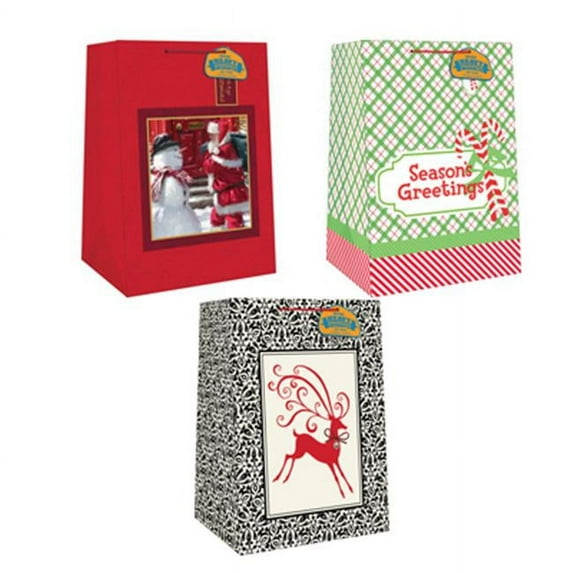 Expressive Design Group CSWJGBA-11TV Mega Heavyweight Wide Gift Bag, Assorted 4 Piece - Pack Of 12