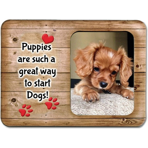 Expressly Yours! "Puppies Are Such a Great Way to Start Dogs" Pet Lover Picture Frame Keepsake for Tabletop, Holds 3.5 x 2.5" Photo