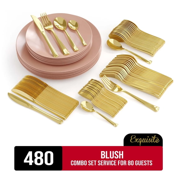 Exquisite 480 Piece Blush Plastic Combo Set | Serves 80 Guests