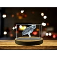 thumbnail image 1 of Exquisite Australian Masked Owl Crystal Beautiful Gift, 1 of 7