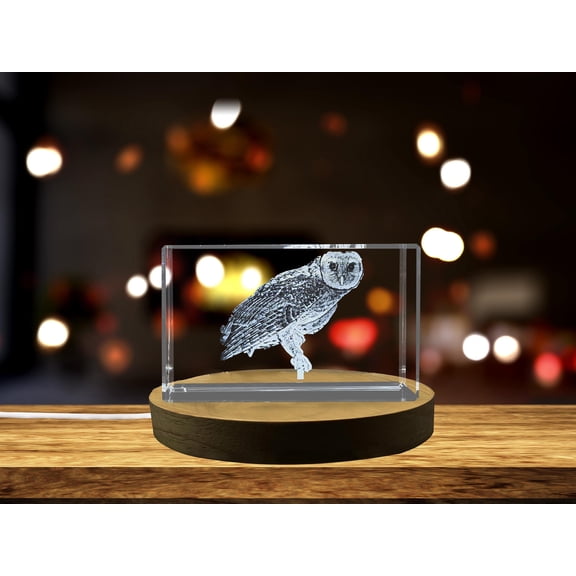 Exquisite Australian Masked Owl Crystal Beautiful Gift
