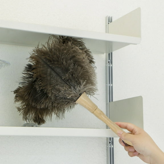 Exquisite Beechwood Handle Duster Home Cleaning Softly Brushes Across Furniture Surfaces Natural Soft Feathers Home Helper, crgrtght 2025 Exquisite Beechwood Handle Duster Home