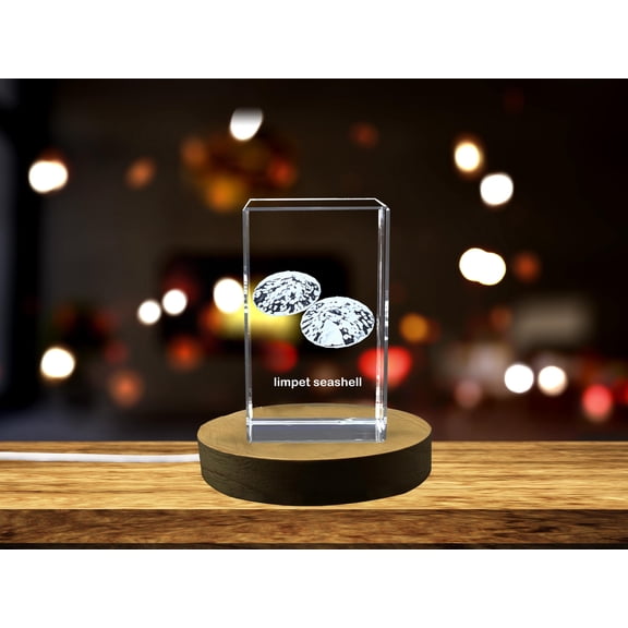 Exquisite Crystal Limpet Seashell Sculpture with Photorealistic 3D Carving