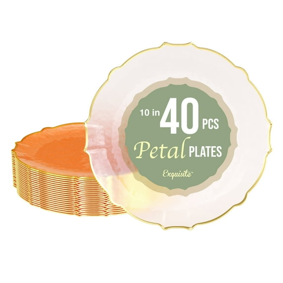 Exquisite Elegant Plastic Plates For Party 40 Dinner Plates - 40 x 10 inch Plastic Dessert Plates Set Coral Peach - Silver Rim