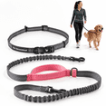 Exquisite Hands-free Leash For Medium Dogs: Active Pet Ownersfortable ...