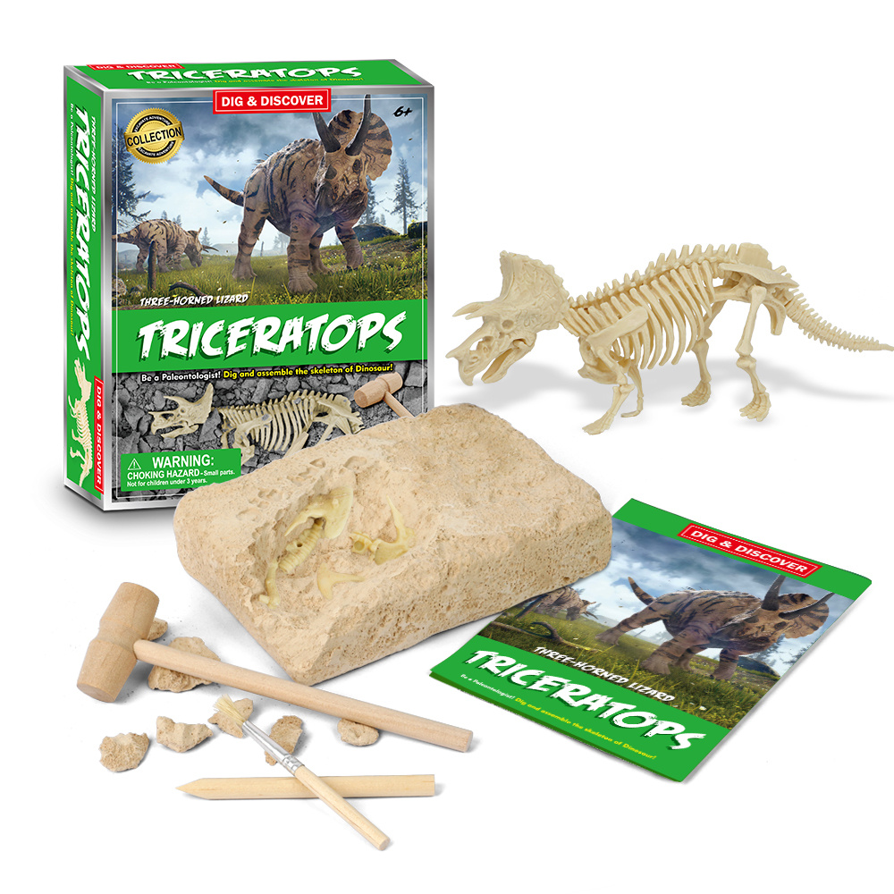 Exquisite Slate Education Dinosaur Fossil Digging Kit Jurassic Toy Set