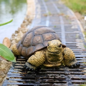 Exquisite Turtle Statue for Outdoor Garden & Pond Decor