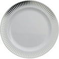 thumbnail image 1 of Exquisite White/Silver Radial 40 Pack 9" Disposable Salad Wedding & Party Dinnerware Plastic Plates, 1 of 6