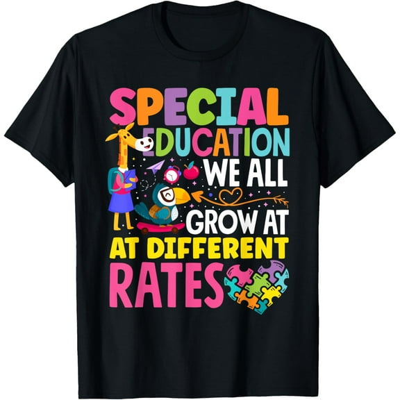 Exquisite and comfortable-Paraeducator Paraprofessional SPED Teacher Special Education T-Shirt