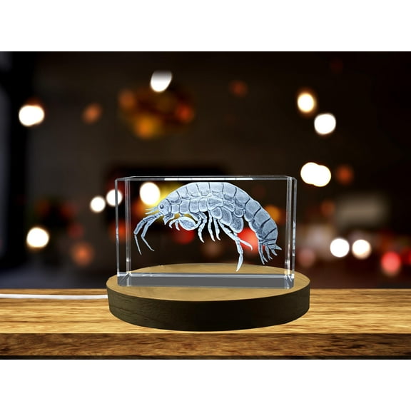 Exquisitely 3D Engraved Sand Hopper Crystal Sculpture