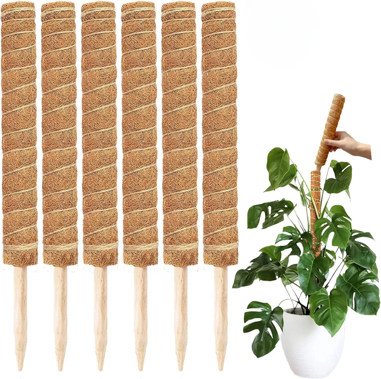 Extendable Handmade Moss Pole For Plants Plant Climbing Rod Plant Pole For  Climbing Plants, Real Handmade Moss Stick F - Walmart.com