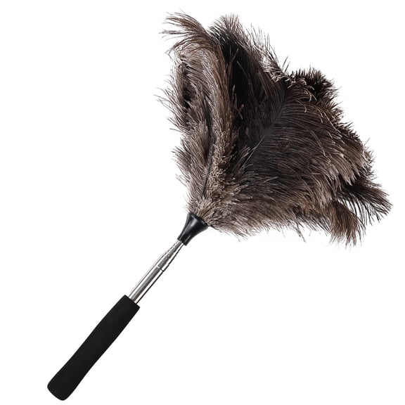 Extendable for Cleaning High Ceilings Ostrich Feather Duster, Extends to 47 in