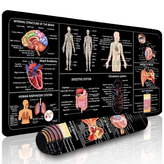 Extended Gaming Mouse Pad - Human Anatomy Cheat Sheet - Durable Non-Slip PC Desktop Mat for Study and Gaming