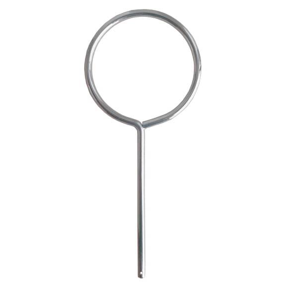 Extension Ring, 5 in. Diameter, Pack of 10 by Go Science Crazy