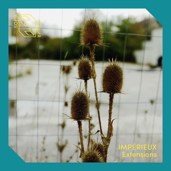 Extensions EP (LP)