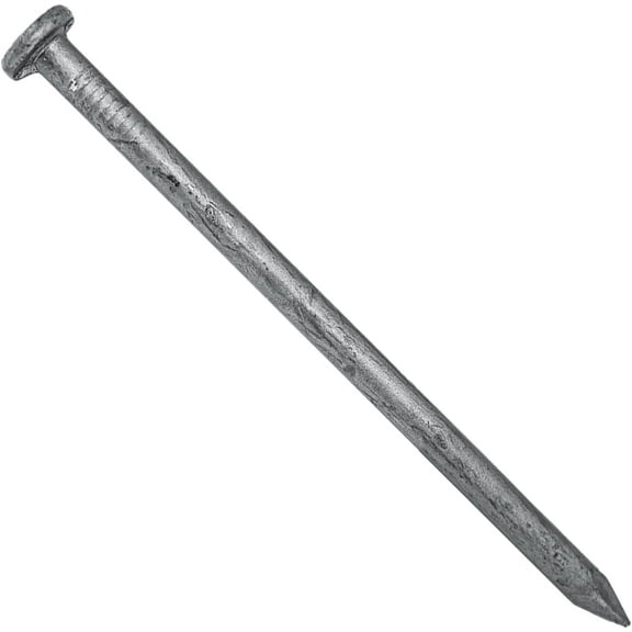 Exterior Hot Dipped Galvanized Common Framing Nail (20d) 5 Pound Box ~90 Nails