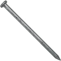 Exterior Hot Dipped Galvanized Common Framing Nail (20d) 5 Pound Box ~90 Nails