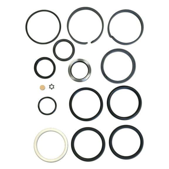External Hydraulic Lift Arm Cylinder Seal & Breather Kit Fits Allis Chalmers Tractor 255805 257772